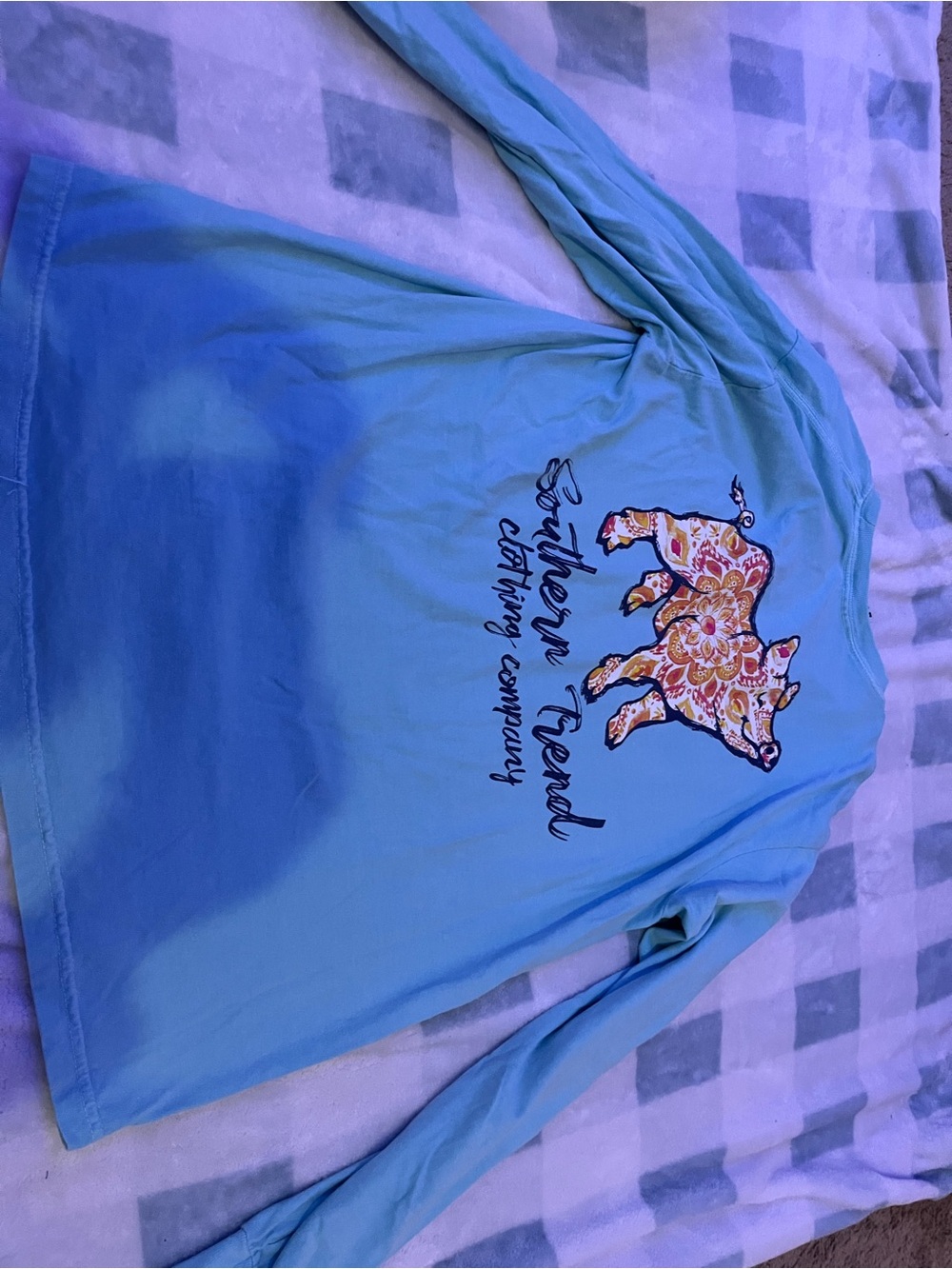 Women's Long Sleeve Tee - Light Blue with Floral Pig Graphic